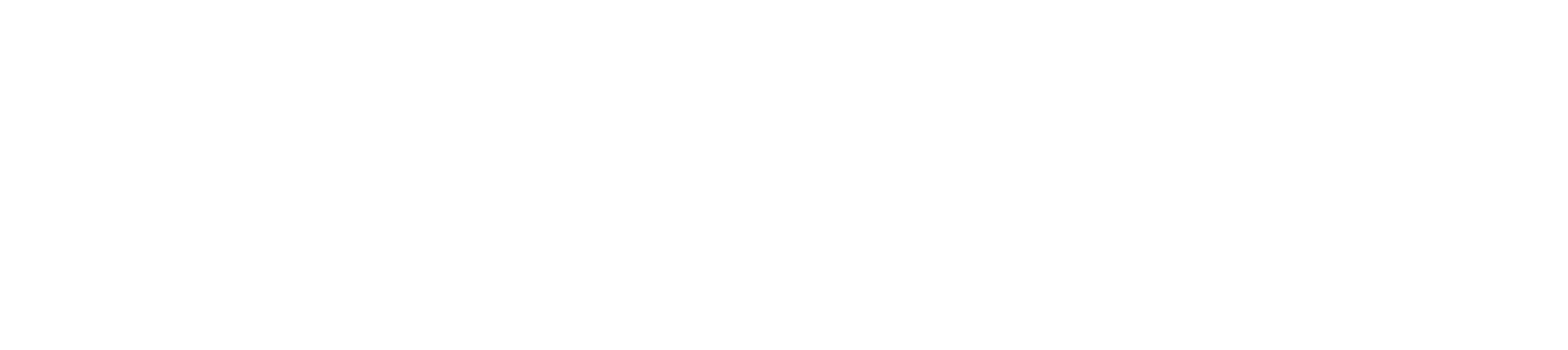 PRIMERA